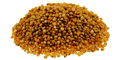 Pile of sorghum seed