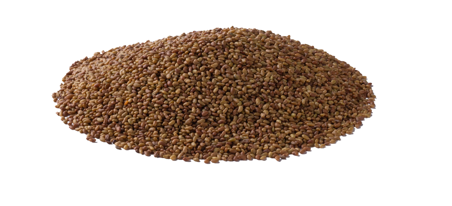 Pile of alfalfa seed