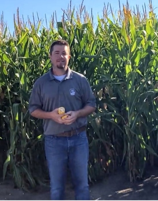 PCR team agronomists like Justin Schneider play a critical role determining what hybrids are commercialized. 