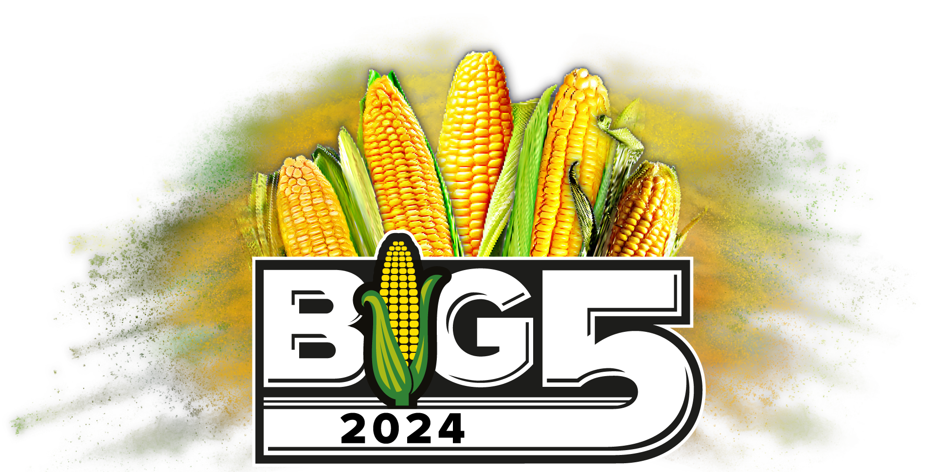 Big 5 2024 Logo