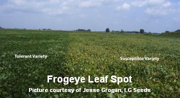 Jesse-FrogEye-Field cited