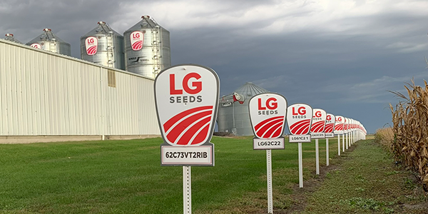 LG Seeds markers