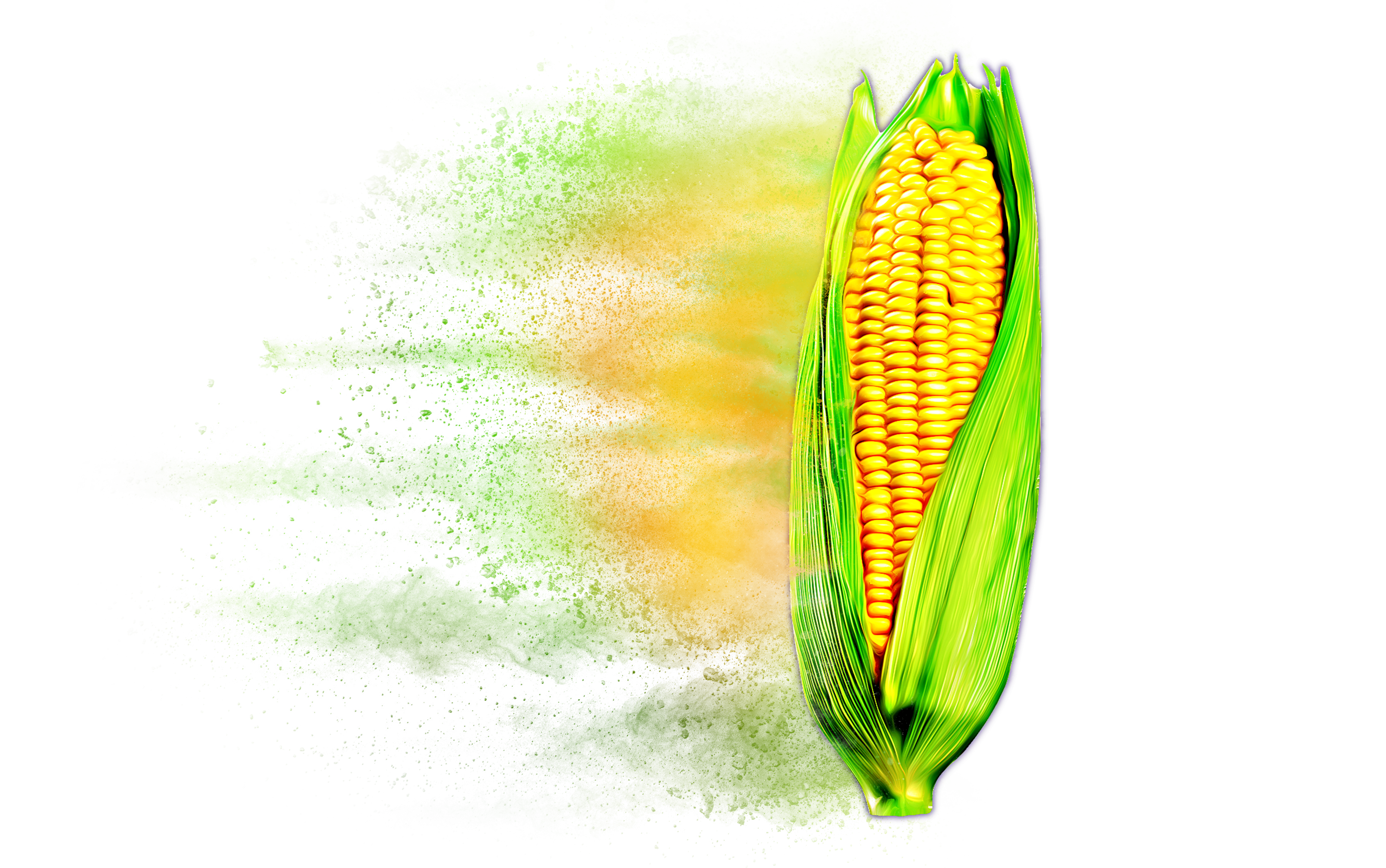 Distressed Corn Hybrid Graphic