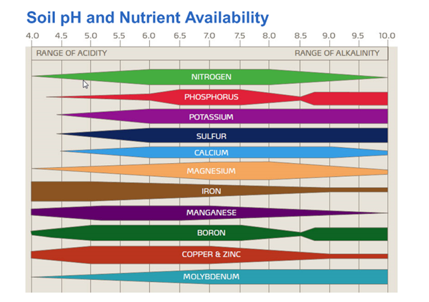 Soil pH and Nutrient Availability Scale