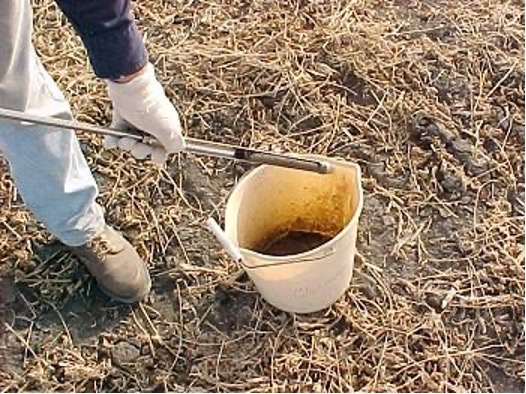 Use extra caution reading soil testing results after drier-than-normal conditions. Photo credit: Iowa State University. 