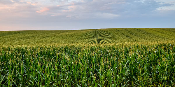 AdobeStock_215979351