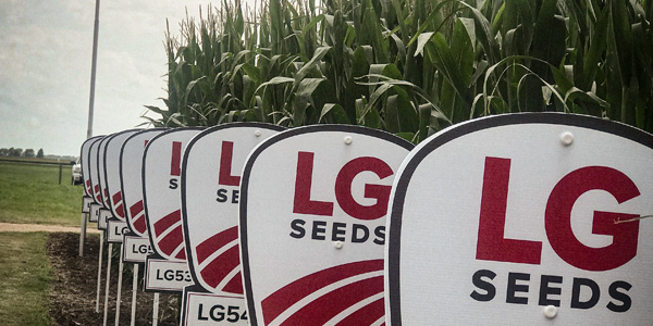 LG Seeds field signs in front of corn crop