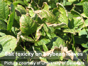 Brian-SalinityToxicity1-cited Brian-SalinityToxicity1-cited