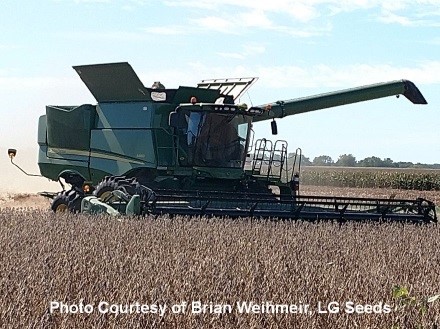 soybean harvest