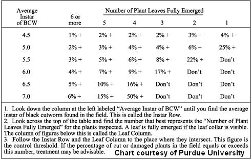 Cutworm Chart