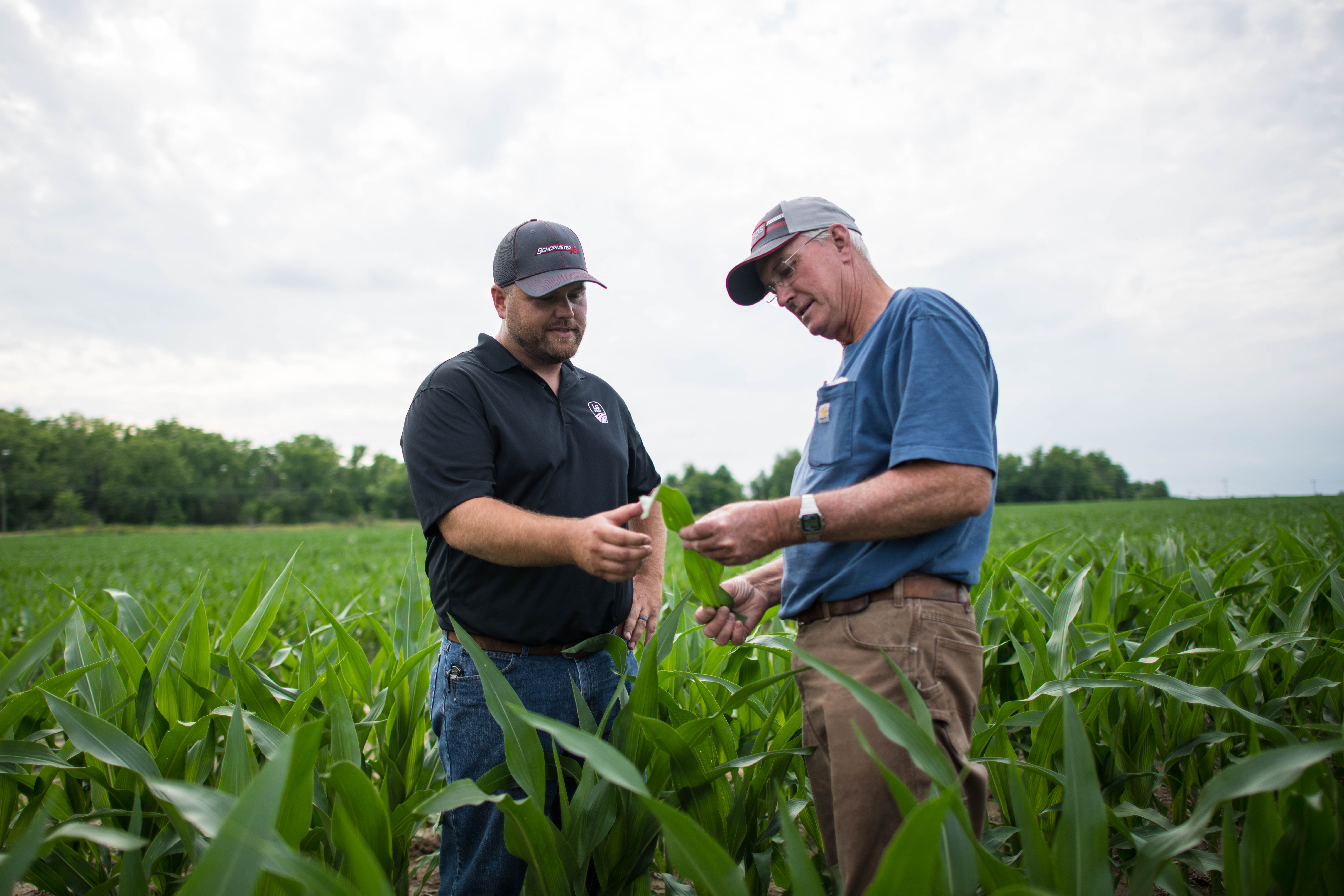 Agronomist and customer looking at corn in a field