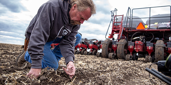 planting_600x300