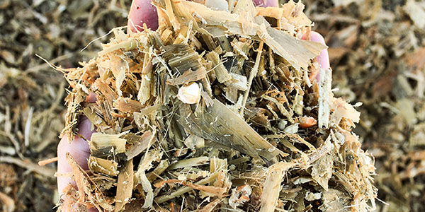 silage_600x300 silage_600x300