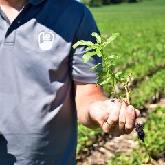 weed management_1x1